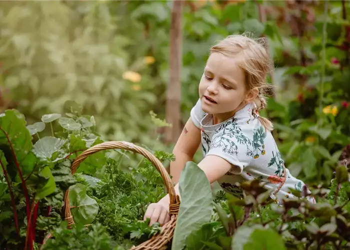 KINDER SPIELERISCH IN DIE ERNTE EINBEZIEHEN KINDER SPIELERISCH IN DIE ERNTE EINBEZIEHEN